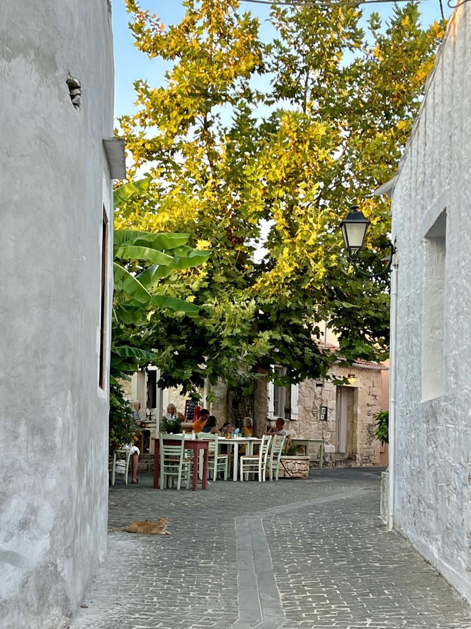 Villa Metapothia Gavalochori Crete Bagian luar foto